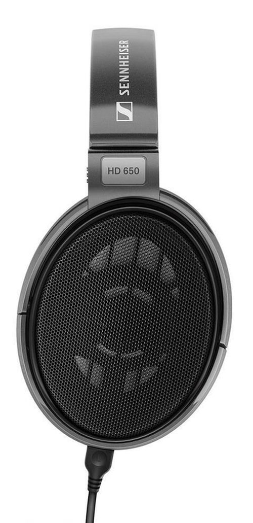 купить Наушники проводные Sennheiser HD 650 в Кишинёве 