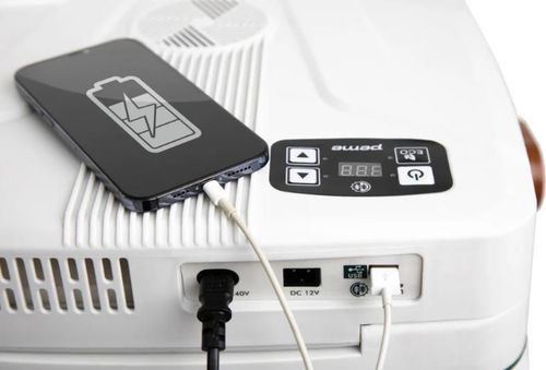 купить Холодильник портативный Peme Ice-on 32 Pine Forest в Кишинёве 