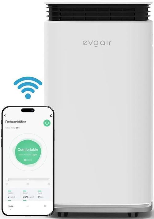 купить Осушитель воздуха EvoAir FlexiDry 22 Smart, 22 л/24 ч, датчик влажности, функция ионизации в Кишинёве 