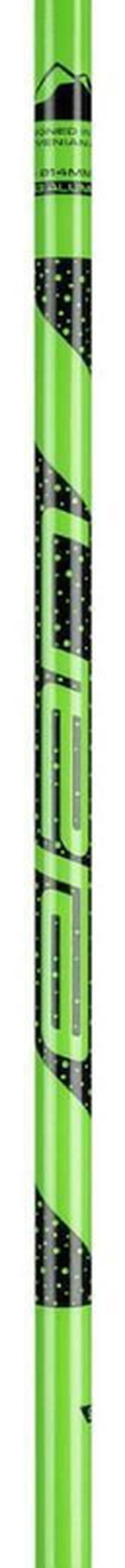 cumpără Bețe de schi Elan Rock Rod JR green 095 (CD813121) în Chișinău 