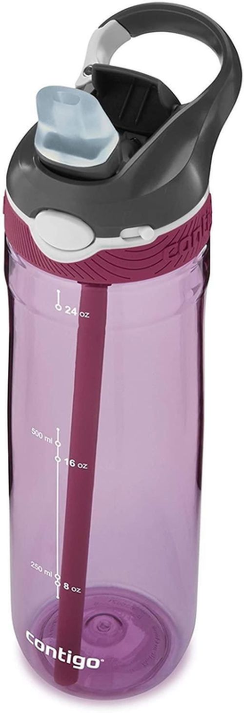 купить Бутылочка для воды Contigo Ashland Tren Passion Fruit 720ml в Кишинёве 
