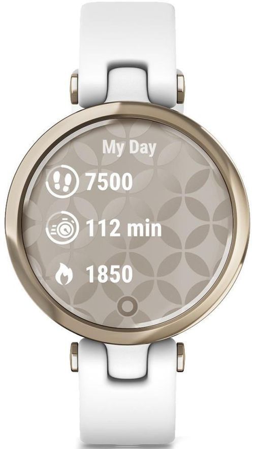 купить Смарт часы Garmin Lily™ (010-02384-10) в Кишинёве 