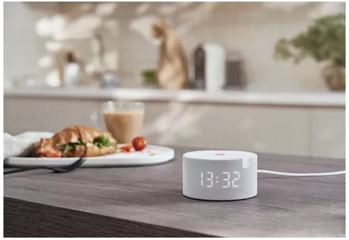 cumpără Boxă portativă Bluetooth Yandex YNDX-00020G Alisa Station Mini Gray în Chișinău 