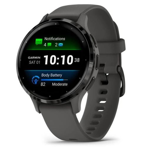 купить Смарт часы Garmin Venu 3S Pebble Gray/Slate (010-02785-00) в Кишинёве 