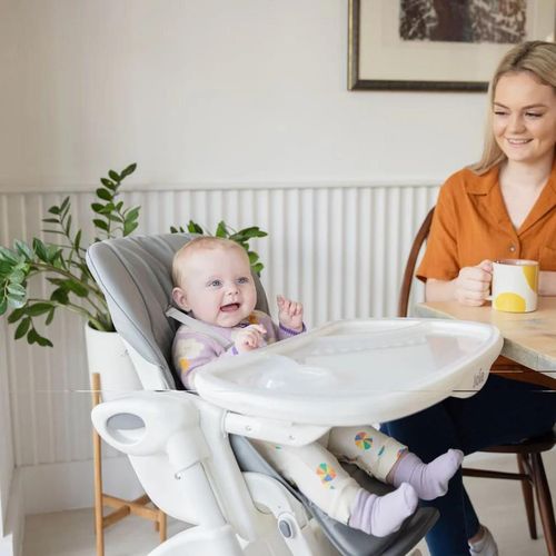 купить Стульчик для кормления Joie H1013EBARC000 Scaun de masa Mimzy Recline Arctic в Кишинёве 