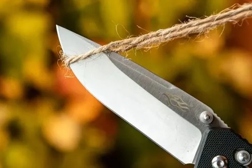 купить Нож походный Firebird FB7601-BK в Кишинёве 