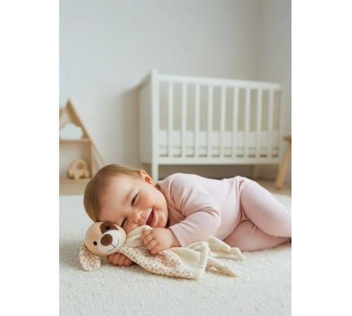 cumpără Jucărie de pluș Baby Mix 56571 Puppy, плюш-платок în Chișinău 