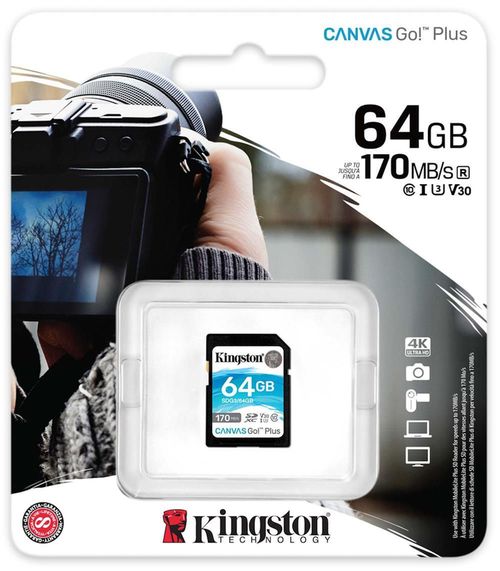 купить Флеш карта памяти SD Kingston SDG3/64GB в Кишинёве 