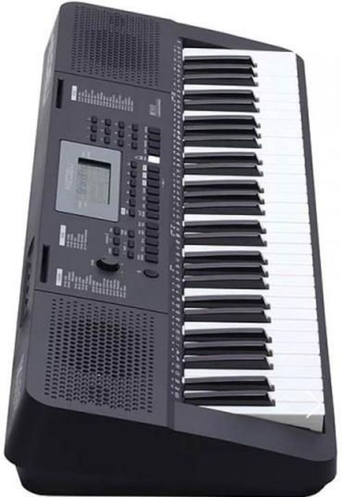 купить Цифровое пианино Clifton Орган M211 в Кишинёве 