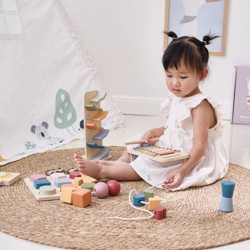 купить Игрушка Viga 44264 Set educativ: "Crește cu mine", (18-24 luni) в Кишинёве 