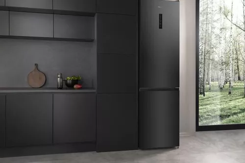 cumpără Frigider cu congelator jos Hisense RB470N4EFC1 în Chișinău 