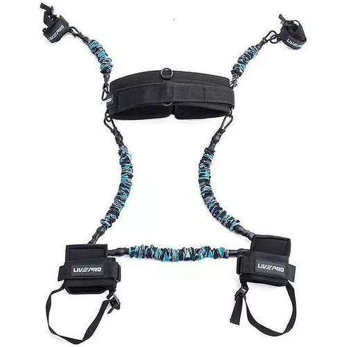 купить Эспандер LivePro LP8425/CA Single Combat Trainer в Кишинёве 