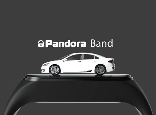 купить Фитнес-трекер Pandora Pandora Band в Кишинёве 