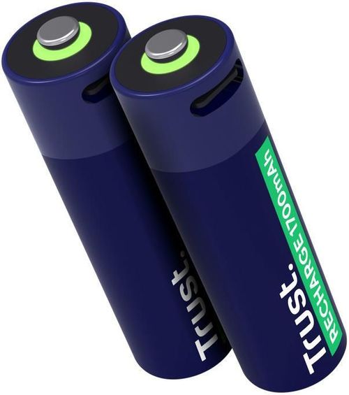 cumpără Acumulator Trust TR25584 USB-C Rechargeable Battery AA 1700 mAh, 2 Pack în Chișinău 