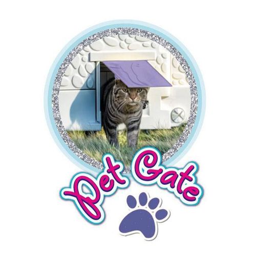 купить Игровой домик Dolu 2579 Casuta de joaca pentru copii (95 x 87,5 x 109 cm), 1454D в Кишинёве 