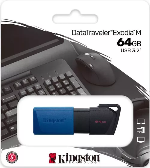 cumpără USB flash memorie Kingston DTXS/64GB în Chișinău 