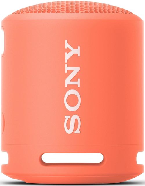 купить Колонка портативная Bluetooth Sony SRSXB13P в Кишинёве 