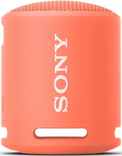 купить Колонка портативная Bluetooth Sony SRSXB13P в Кишинёве 