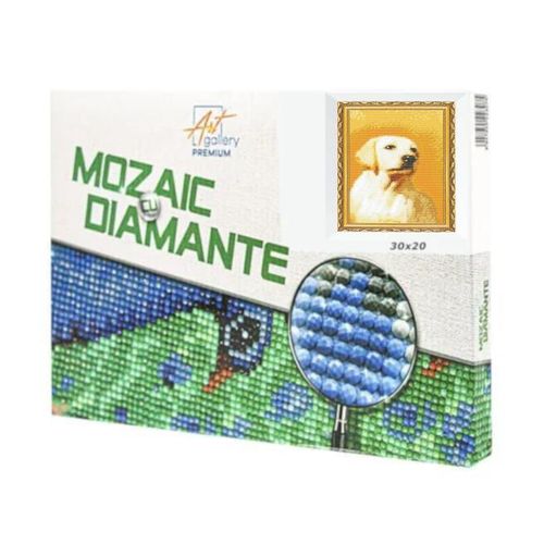 купить Картина по номерам Art Gallery JS28250 Mozaic cu diamante 20x30cm Labrador в Кишинёве 