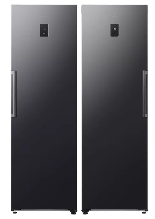 купить Холодильник и морозильная камера Samsung RR70H39CEFEO + RZ70H32HEFEO в Кишинёве 