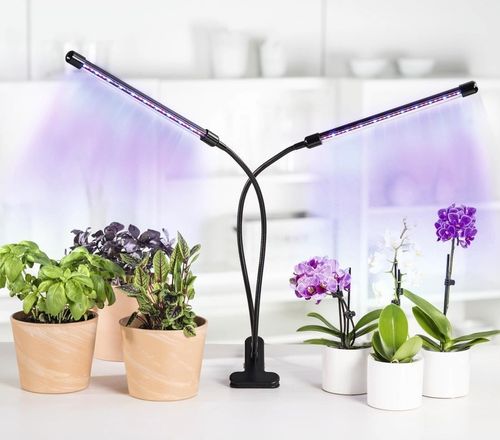 купить Настольная лампа Xavax 112697 Plant Lamp в Кишинёве 