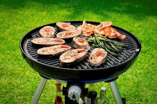 купить Товар для пикника Cadac Carri Chef 2 BBQ Grid в Кишинёве 