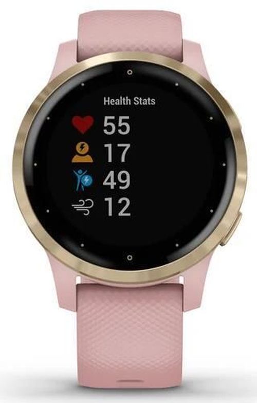 купить Фитнес-трекер Garmin vivoactive 4S Dust Rose/Light Gold, S.EU в Кишинёве 