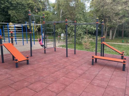 купить Уличный тренажер PlayPark 2240 WORKOUT C-040 в Кишинёве 