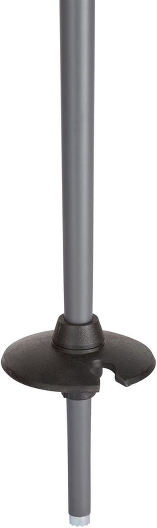 cumpără Bețe de schi Rossignol Tactic Grey Black 115 (RDI2010) în Chișinău 