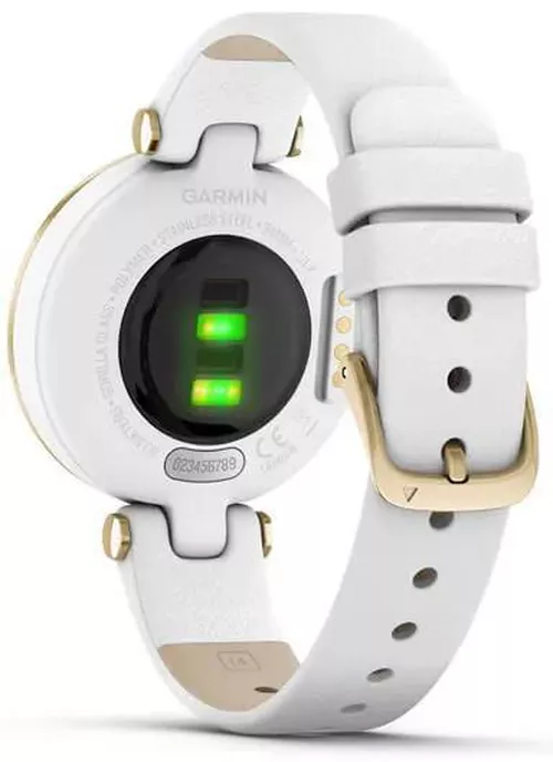 cumpără Ceas inteligent Garmin Lily™ (010-02384-B3) în Chișinău 
