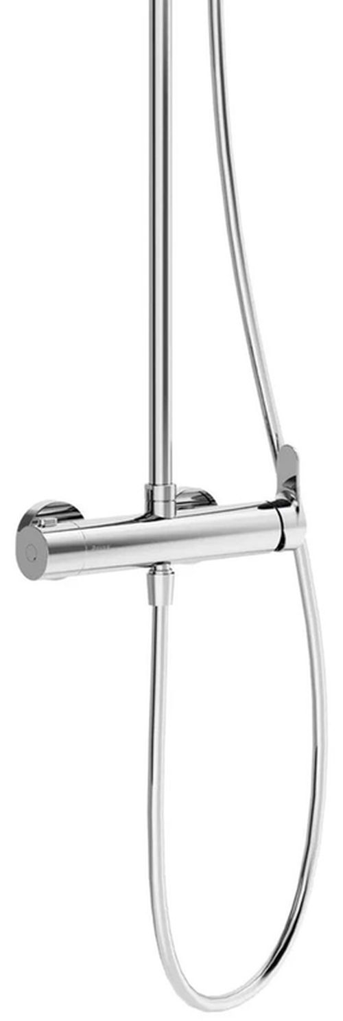 купить Душевая панель Ravak DS chrome DS 091.00 (X07P643) в Кишинёве 