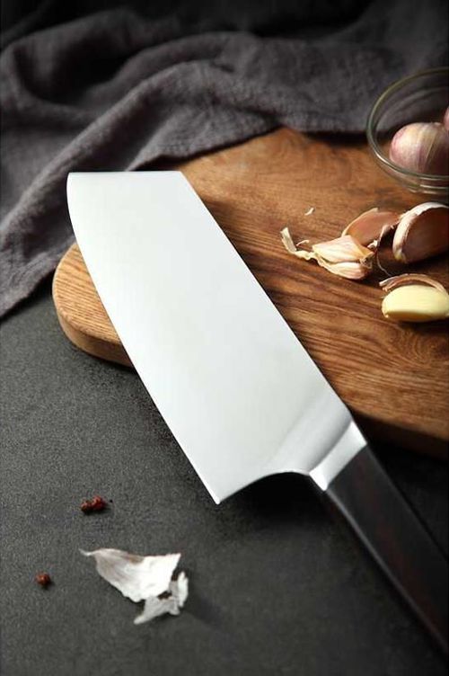 купить Нож Takumi Masaru Nakiri Knife (TK-B5-XC) в Кишинёве 