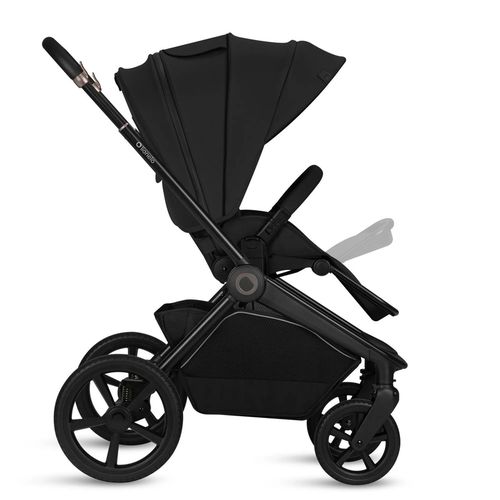 купить Детская коляска Lionelo Carucior 2in1 Freya Black Onyx в Кишинёве 