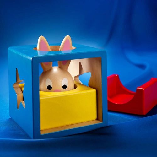 cumpără Joc educativ de masă Richi SG 037RO Bunny Boo (ro) în Chișinău 