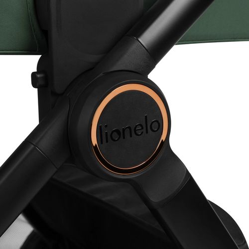купить Детская коляска Lionelo Carucior 2in1 Layla Green Forest в Кишинёве 