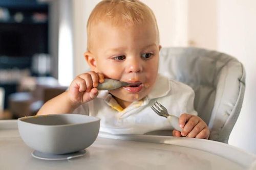 купить Посуда для кормления Beaba B913581 Set 2 tacamuri inox Velvet Gray в Кишинёве 