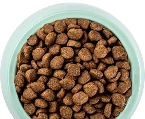 cumpără Hrană pentru animale de companie Optimeal 24231056 Sac pisici steril somon 10 kg în Chișinău 