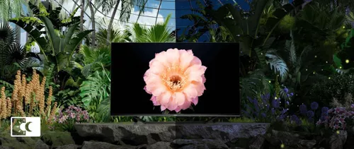cumpără Televizor Hisense 50A7NQ în Chișinău 