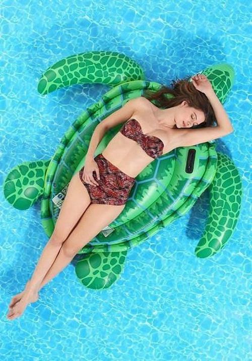 купить Надувная игрушка Intex 57524 TESTOASA в Кишинёве 