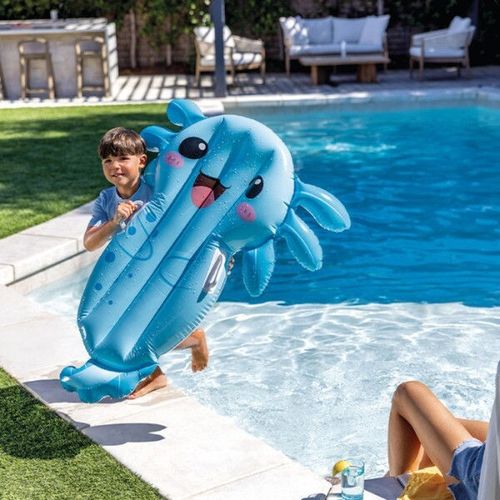 cumpără Plută-saltea gonflabilă Intex 58159 Axolotl 109x94x14cm, max.40kg în Chișinău 