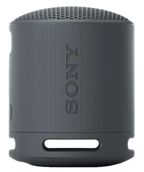 купить Колонка портативная Bluetooth Sony SRSXB100B в Кишинёве 