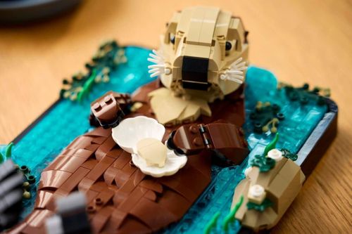 cumpără Set de construcție Lego 21366 Floating Sea Otters în Chișinău 