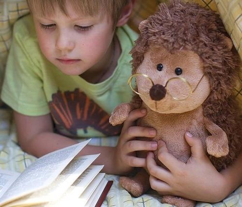 cumpără Jucărie de pluș Orange Toys OS065/20F Ежик 15см în Chișinău 