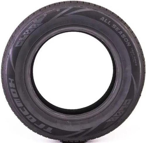 cumpără Anvelopă Tracmax 195/55 R16 91V TL Trac Saver XLINA în Chișinău 