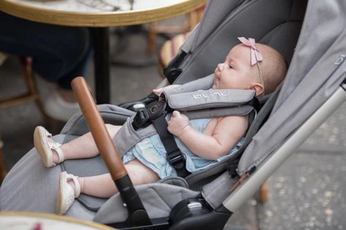 cumpără Сărucior pentru copii Nuna ST12000CHEGL Triv Chestnut în Chișinău 