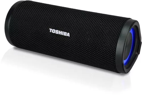 cumpără Boxă portativă Bluetooth Toshiba TY-WSP102 în Chișinău 