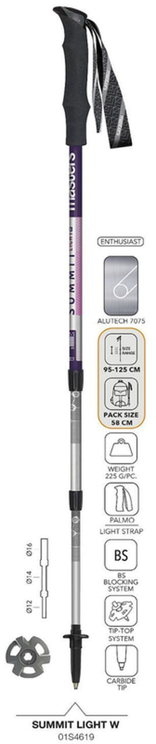 cumpără Bețe pentru trekking Masters SUMMIT LIGHT Women (01S4619) în Chișinău 