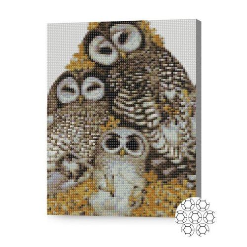купить Картина по номерам Art Gallery XQB84048 Mozaic cu diamante 30x40cm Familia de bufnite в Кишинёве 