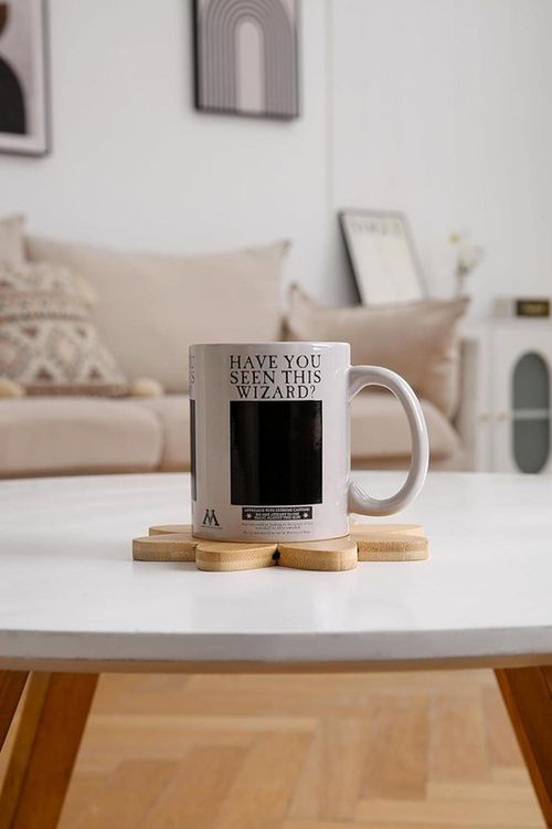 cumpără Cană Pyramid International SCMG25012 HARRY POTTER (WANTED SIRIUS) HEAT CHANGE MUG în Chișinău 
