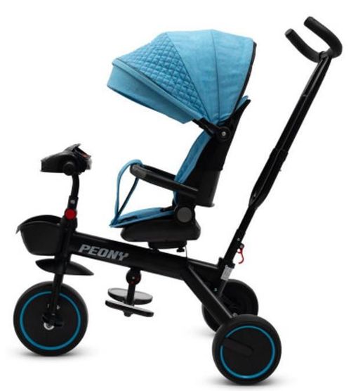 cumpără Bicicletă-cărucior Baby Mix 56313 Peony EVA Blue în Chișinău 
